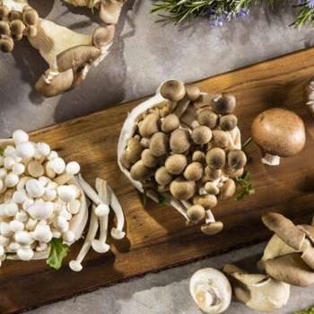 Mushrooms and Medicinal Mushrooms