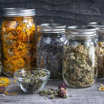Medicinal Herbal Mixtures